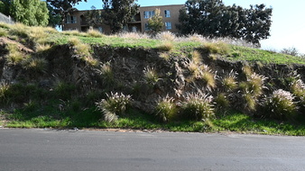 Enlarge photo 27
