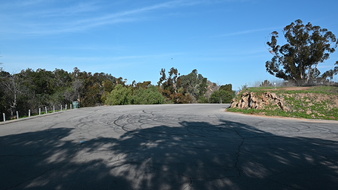 Grand View Dr. (Elysian Park Dr)