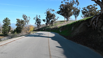Enlarge photo 5