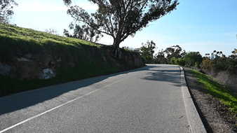 Enlarge photo 6