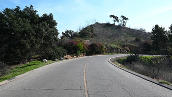 Enlarge photo 19