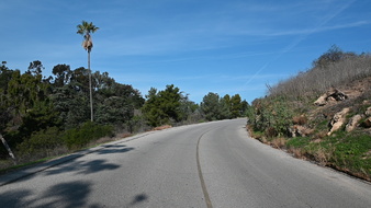Enlarge photo 23