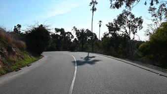 Enlarge photo 24