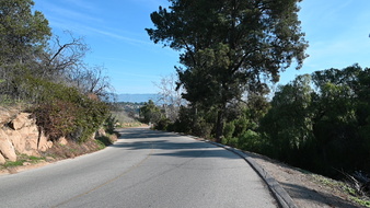 Enlarge photo 25