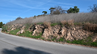 Enlarge photo 28