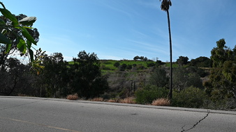 Enlarge photo 29