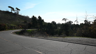 Enlarge photo 30