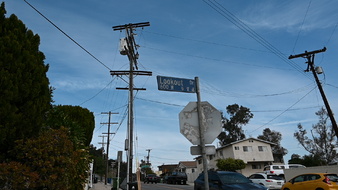 Enlarge photo 25