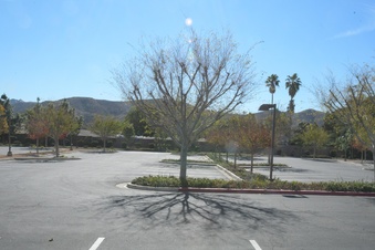 Enlarge photo 25