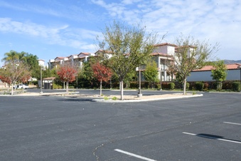 Enlarge photo 30
