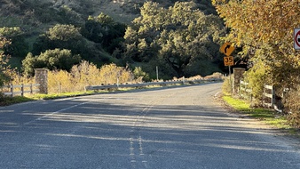 Enlarge photo 5