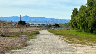 Enlarge photo 3