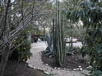 Enlarge photo 45
