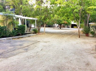 Enlarge photo 13