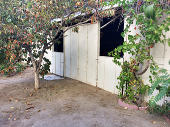 Enlarge photo 15