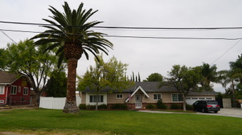 Enlarge photo 8