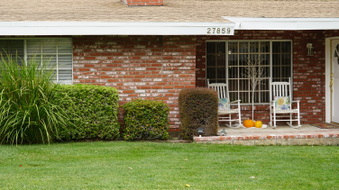 Enlarge photo 29