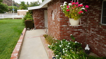 Enlarge photo 37
