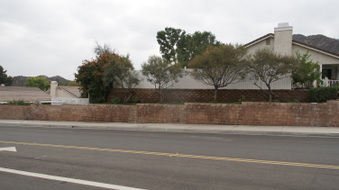 Enlarge photo 47