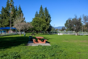 Enlarge photo 6