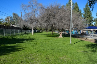Enlarge photo 12