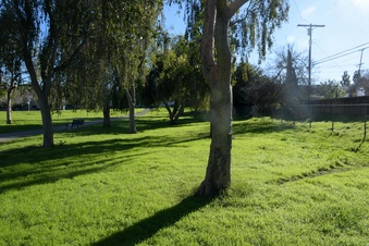 Enlarge photo 13