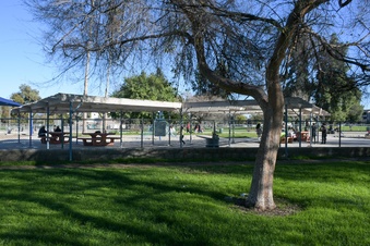 Enlarge photo 15