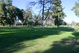 Enlarge photo 22