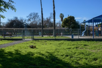 Enlarge photo 26