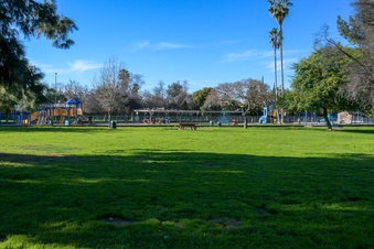 Enlarge photo 28