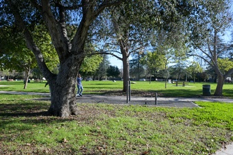 Enlarge photo 17