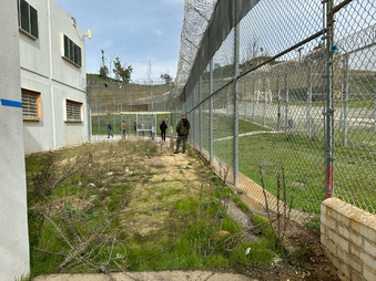 Enlarge photo 35