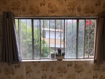Enlarge photo 58
