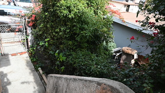 Enlarge photo 28