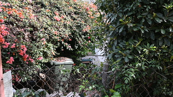 Enlarge photo 31