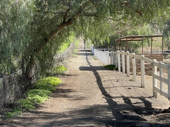 Enlarge photo 20