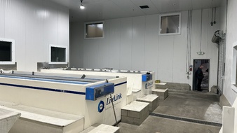 Enlarge photo 53