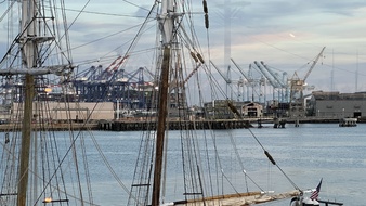 Enlarge photo 173