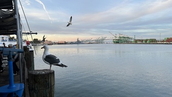 Enlarge photo 146