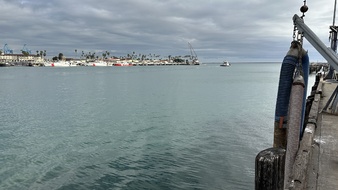 Enlarge photo 47