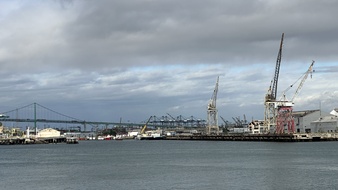 Enlarge photo 45