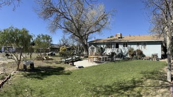 Enlarge photo 23