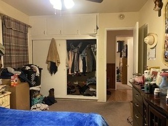 Enlarge photo 50