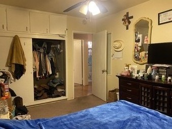 Enlarge photo 51