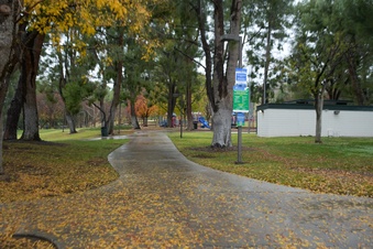 Park