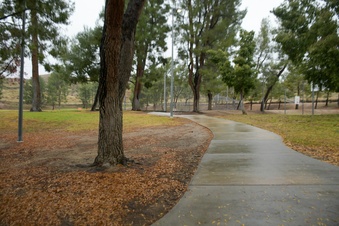 Enlarge photo 19