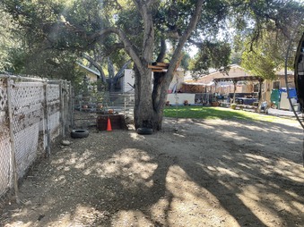 Enlarge photo 58