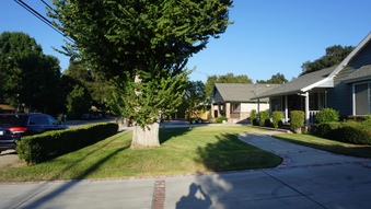 Enlarge photo 7