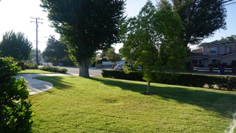 Enlarge photo 14