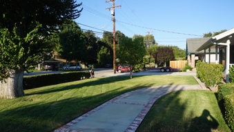 Enlarge photo 15